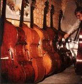 Double Bass Selection